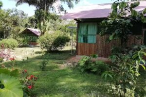 Albergue Turístico EcoManu Lodge