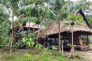 Allpahuayo Mishana Bed & Trees – Ecolodge