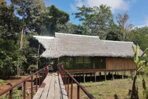 Allpayacu Adventures