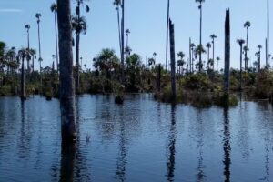 Alto Tambopata Lodge