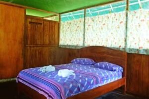 Amazon Eco Tours & Lodge