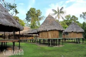 Amazon Jaguar Adventure & Lodge