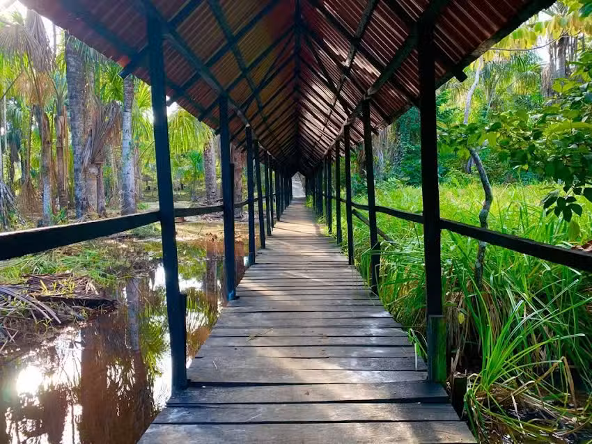 AMAZON LODGE VARILLAL