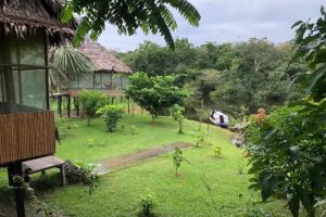 Antares Amazon Lodge And Tours – Iquitos Tours