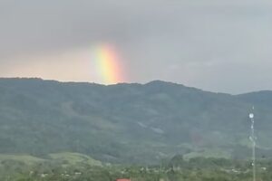 Aucayacu León soplado