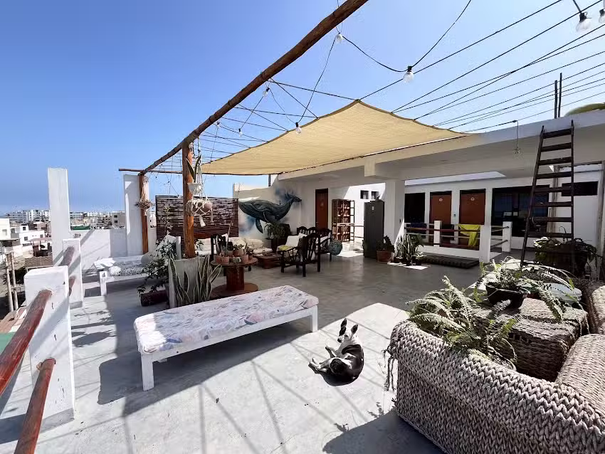 Bravo Hostels: Surf House