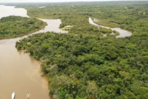 Cabaña Amazon Lodge