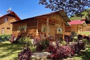 Cabañas entretroncos