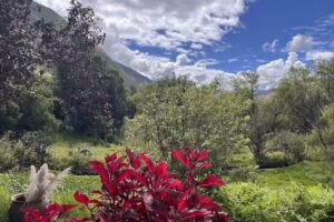 Caminantes del valle