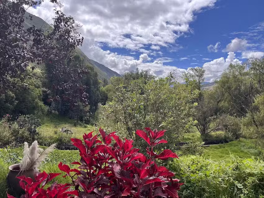 Caminantes del valle