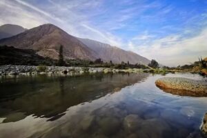 Camping «Los Ciruelos»