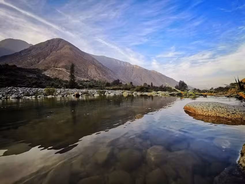 Camping «Los Ciruelos»