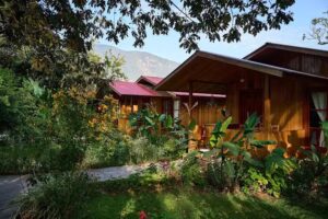 Carolina Egg Gasthaus