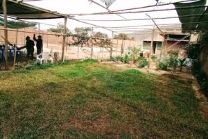 Casa Campo «ROMA”