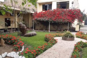 Casa Huerta Oneeglio