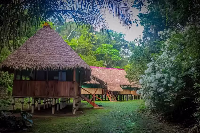 Casa Matsiguenka Lodge