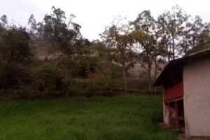 Caserio El Ingenio Distrito Y Provincia San Pablo Cajamarca.