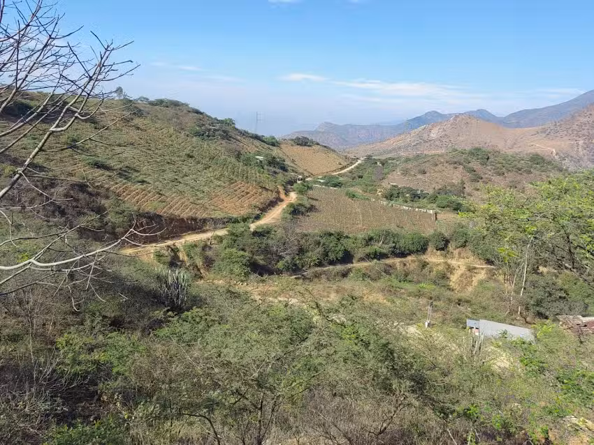 Caserío Palo Blanco