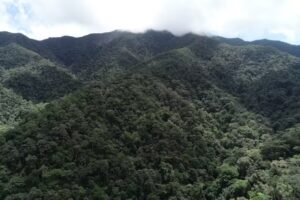 Cataratas de Alto Aguashi.