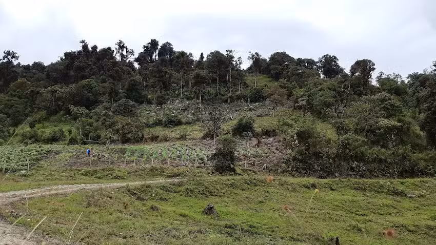 Caverna Olaya Perlamayo