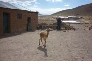 Centro Poblado Pasto Grande