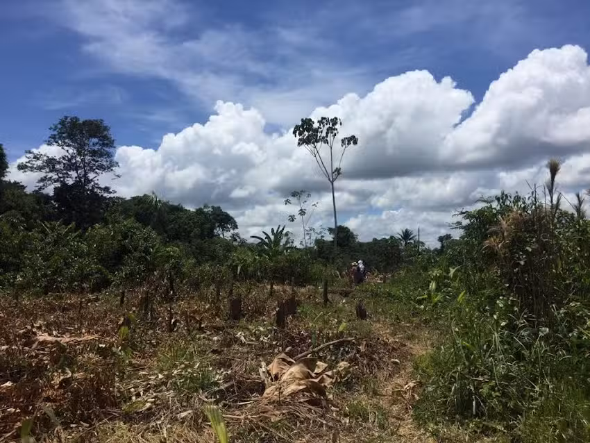 Chanchin Corporation – Peru