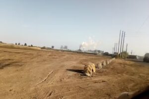 complejo agroindustrial cartavio