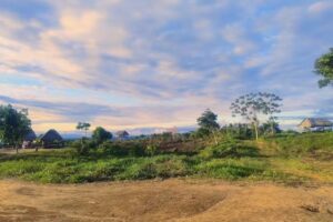 Comunidad Nativa Bajo Chinchihuani