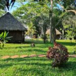 Corto Maltes Amazonia