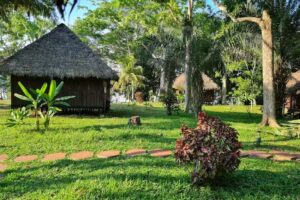 Corto Maltes Amazonia