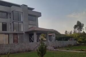 Cosmopolita guest-house