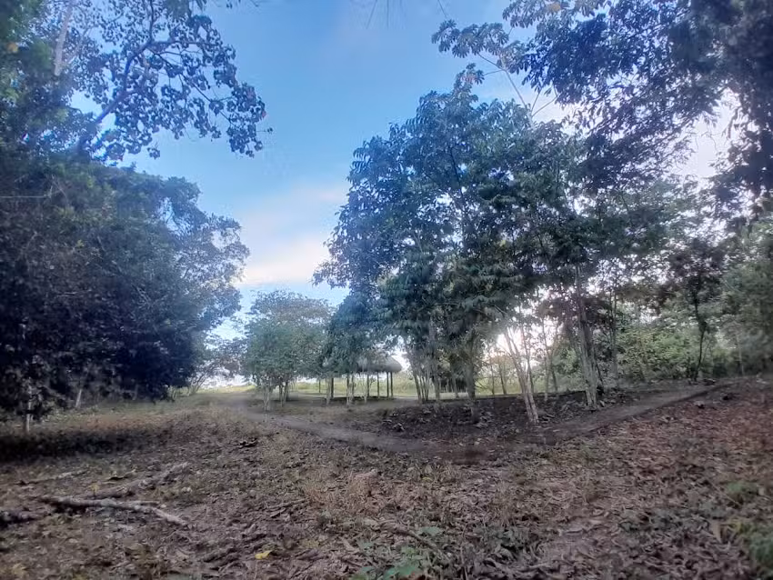 CUEVA DE SAN FRANCISCO
