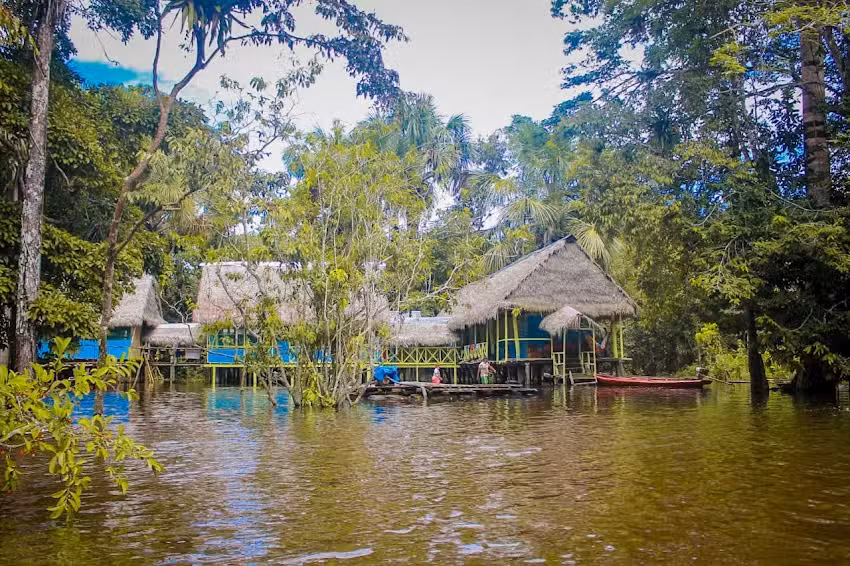 Ecological Jungle Trips