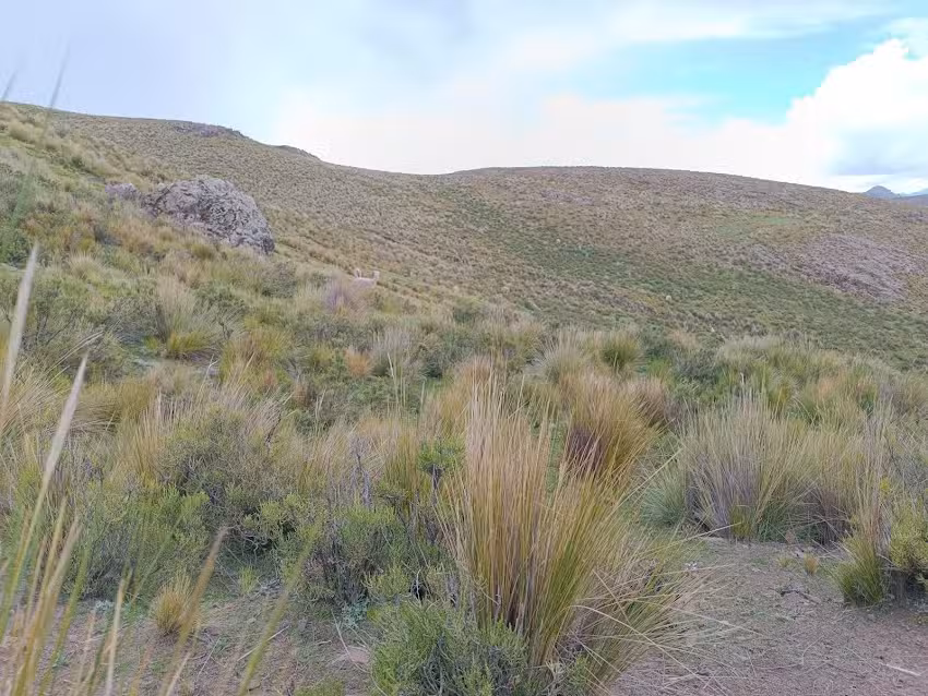 Estancia chaquihuayco