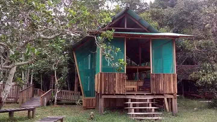Excelsa Tree House