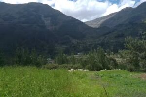 Familia Flores Paucar