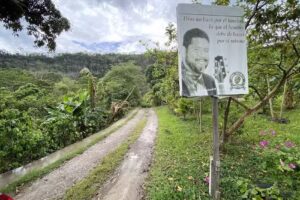 Finca Cafetalera Rainforest