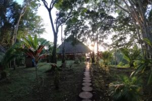 Flower Of Life Ayahuasca Retreat Center and Shamanic Courses in Peru
