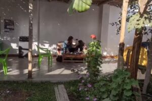 Flying Monkey Hostel