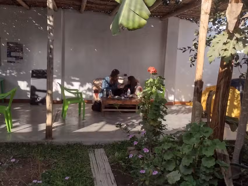 Flying Monkey Hostel