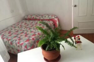 Friendly House Libertad