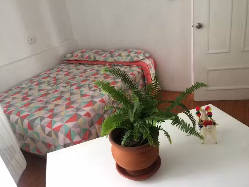 Friendly House Libertad