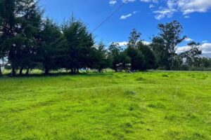 Fundo del abuelo Boungalows&Camping