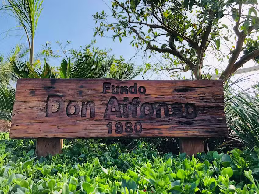 Fundo Don Alfonso