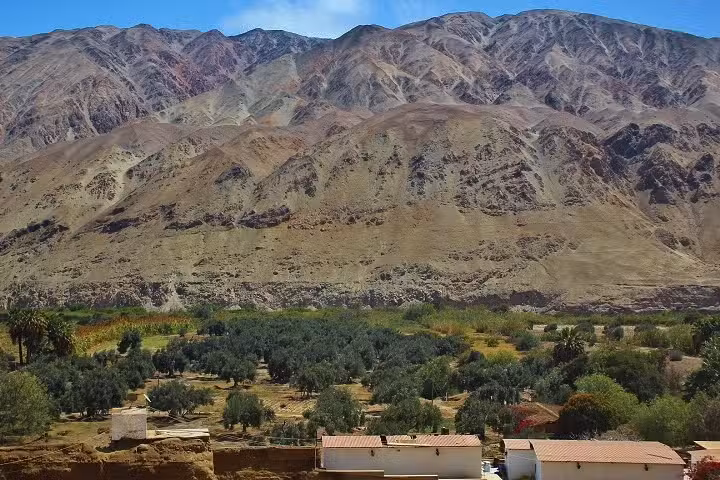 Fundo Olive Corp-Chiviquina|Ecoturismo & Venta de Aceituna y Aceite Premium