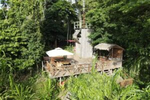 Green House Tambopata