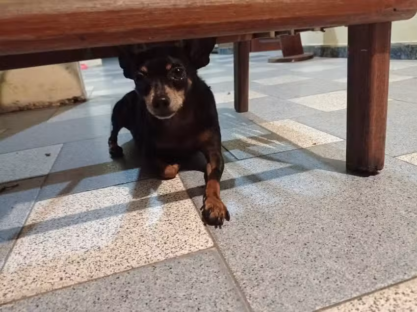 Habitaciones en Casa Punchana