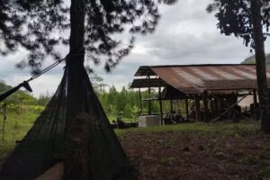 Hojarasaca Rock Cafe Club