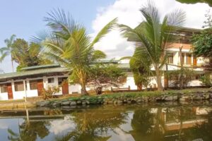 Hospedaje Campestre El Cacaotal/ Finca Faura