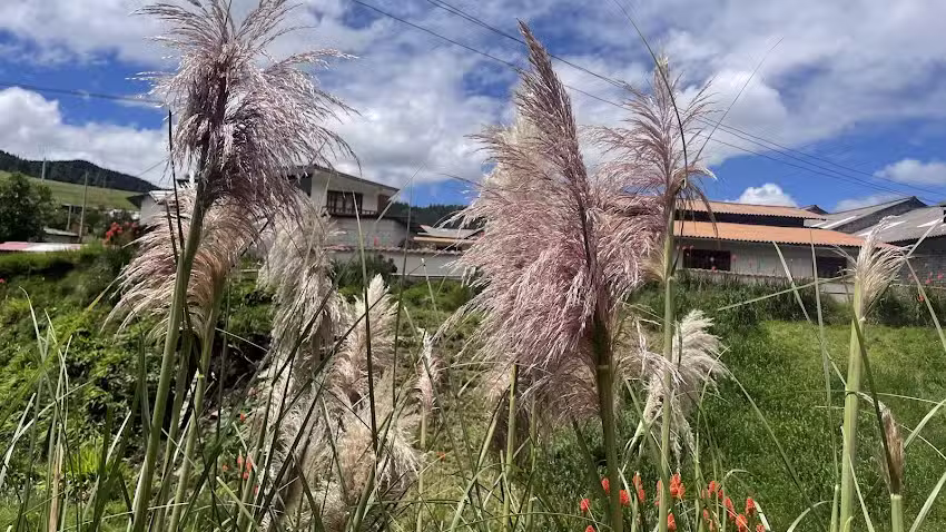 Hospedaje Casa Antigua